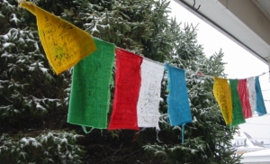 Prayerflag3