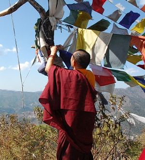 Lama-menriprayerflags4