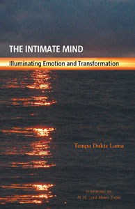 Theintimatemindcoversm